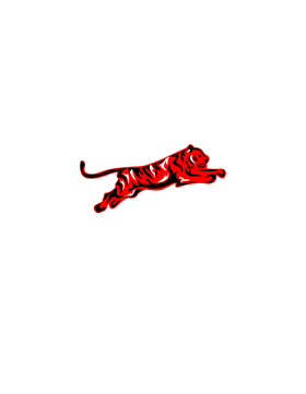 crazy-tiger-energise-ta-difference